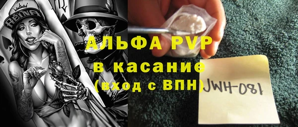 ПСИЛОЦИБИНОВЫЕ ГРИБЫ Вяземский
