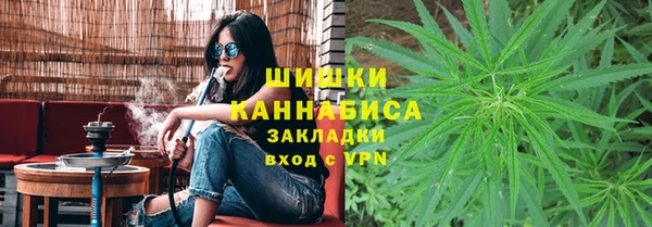 стаф Вязники