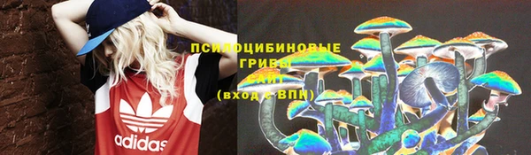 спиды Сосновка